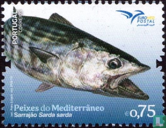 Fish from the Mediterranean