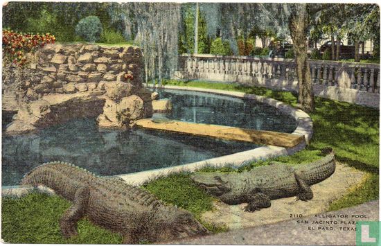 Alligator Pool, San Jacinto Plaza, El Paso, Texas - Image 1