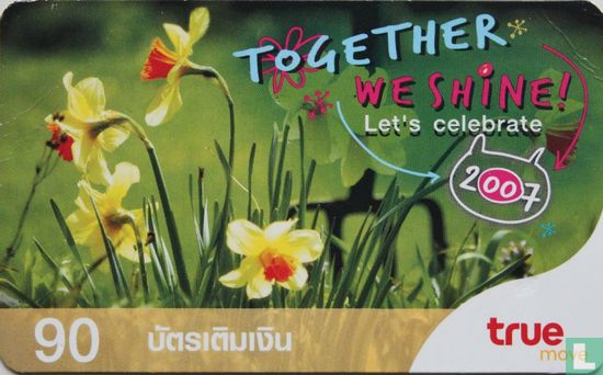 Together we shine - Image 1