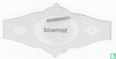 Bloemist - Image 2