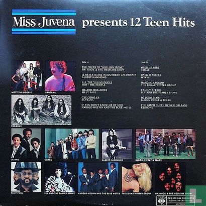 Miss Juvena Presents 12 Teen Hits - Afbeelding 2