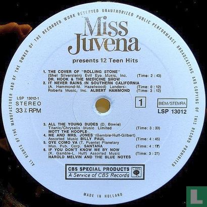 Miss Juvena Presents 12 Teen Hits - Afbeelding 3