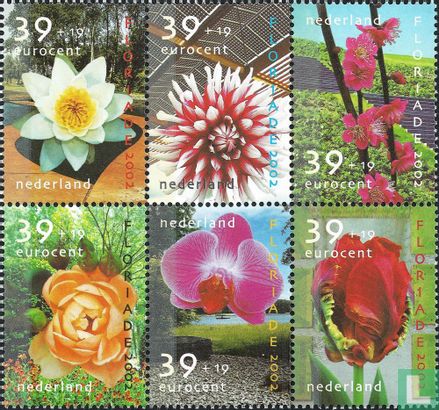 Summer Stamps