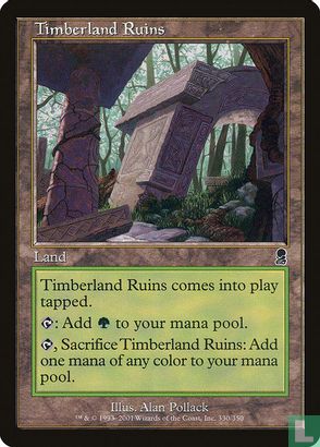 Timberland Ruins - Afbeelding 1