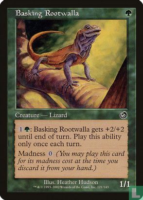 Basking Rootwalla - Image 1