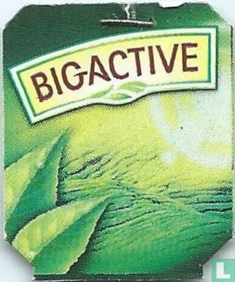 Bigactive - Image 1