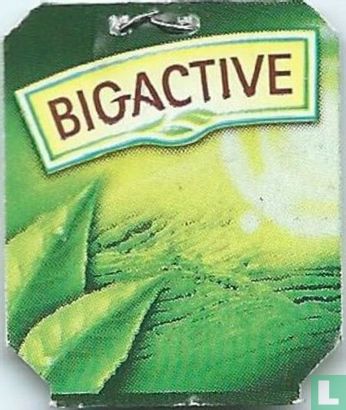 Bigactive - Image 2