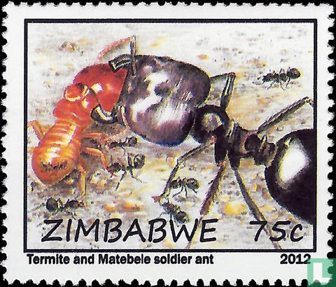 Les fourmis et les termites