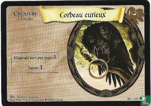 Corbeau curieux - Afbeelding 1