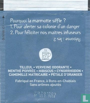 Infusion des Marmottes  - Afbeelding 2