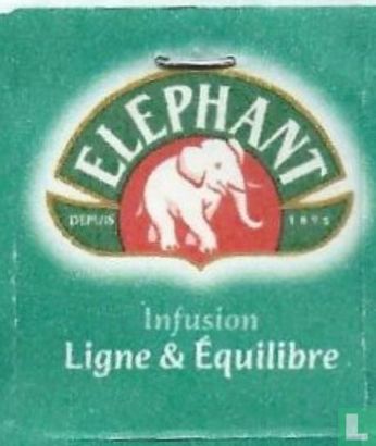 Elephant Infusion Ligne & Equilibre - Image 1