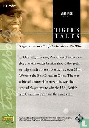 Tiger Woods - Image 2