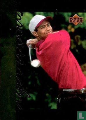 Tiger Woods - Afbeelding 1