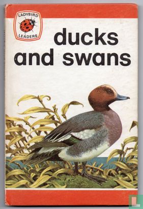 Ducks and Swans - Afbeelding 1