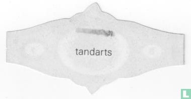 Tandarts - Image 2