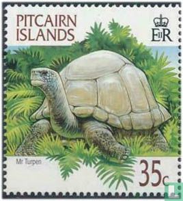 Tortue
