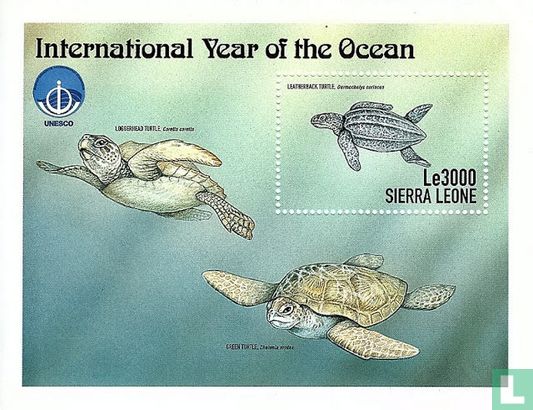 Internationales Jahr des Ozeans