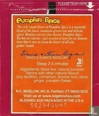 Pumpkin Spice - Afbeelding 2