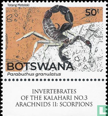 Invertebrates of the Kalahari: Scorpions