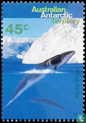 Baleines et dauphins