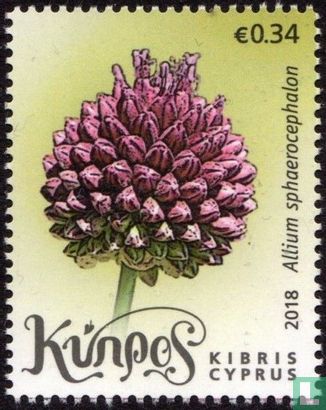 Wilde bloemen van Cyprus