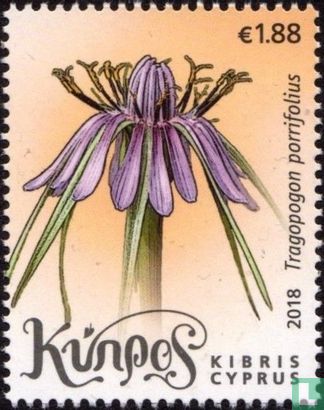 Wild flowers of Cyprus