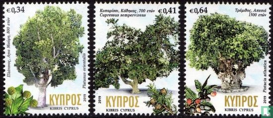 Centennial trees in Cyprus