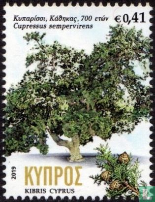Eeuwenoude bomen in Cyprus