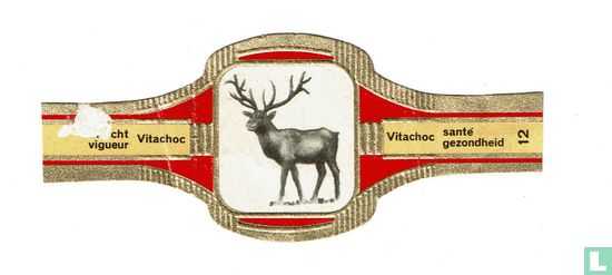 Vitachoc - kracht - gezondheid - Afbeelding 1