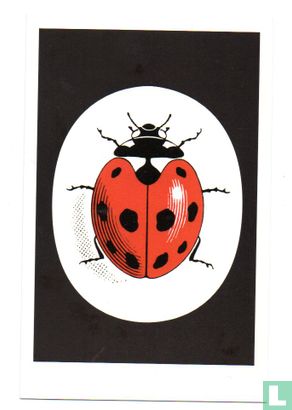 I'm part of the Ladybird generation! Vintage Ladybird logo - Afbeelding 1