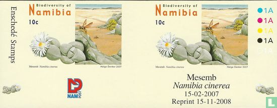 Namibia cinerea (réimpression)