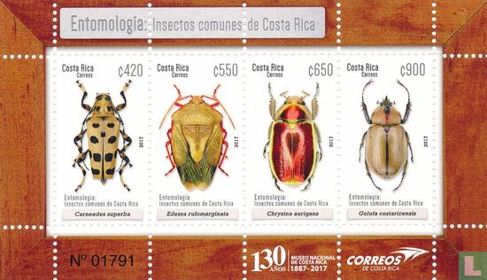 Native Insects