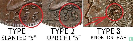 United States 1 cent 1855 (type 2) - Image 3