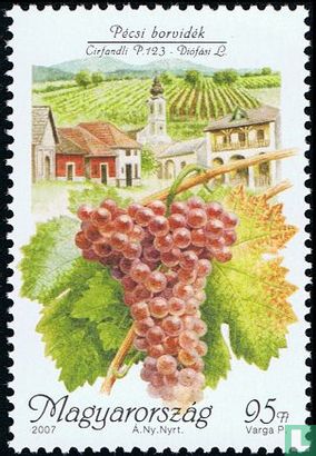 Wijnbouwgebied Pécs
