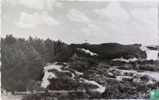 Dominiale Duinen,Westerschouwen-Burgh-Haamstede - Bild 1