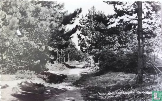 Dennenbos - Afbeelding 1