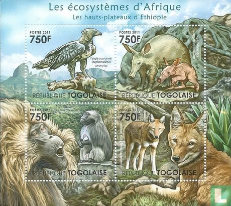 De ecosystemen van Afrika  