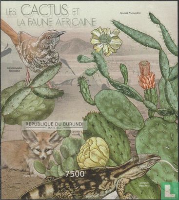 Kakteen und afrikanische Fauna