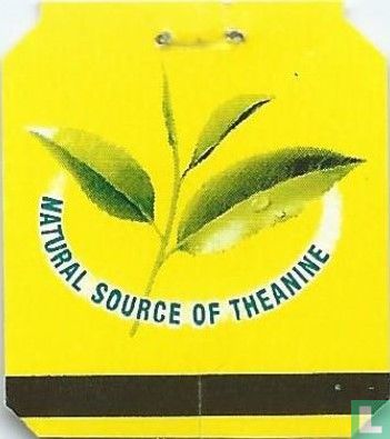 Quality Black Tea / Natural Source of Theanine - Afbeelding 2
