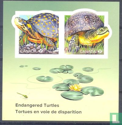 Bedreigde schildpadden