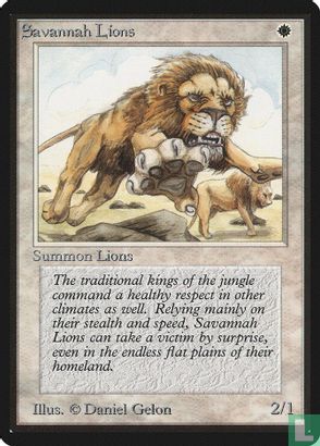 Savannah Lions - Afbeelding 1