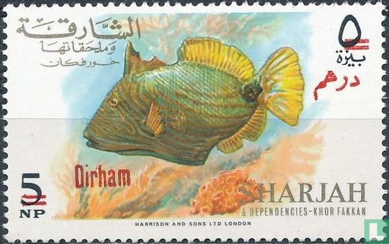Fish with overprint 