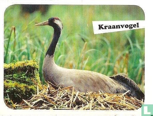 Kraanvogel - Image 1