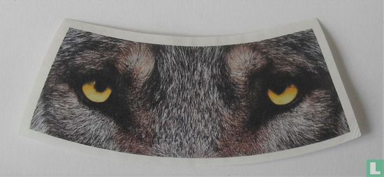WolfWeizen - Bild 3