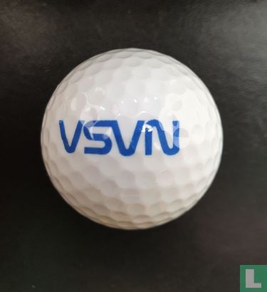 VSVN - Bild 1