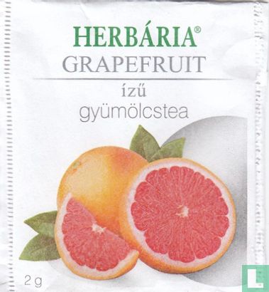 Grapefruit - Image 1