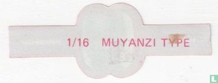 Muyanzi Type - Bild 2