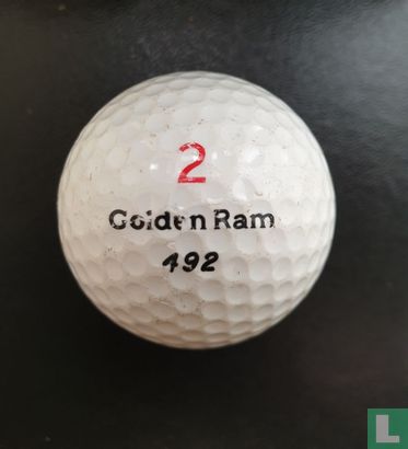 NO Logo RAM - Image 1