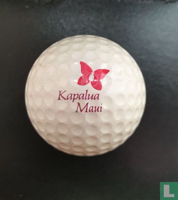 Kapalua Maui - Image 1