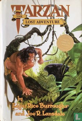 The lost adventure - Image 1